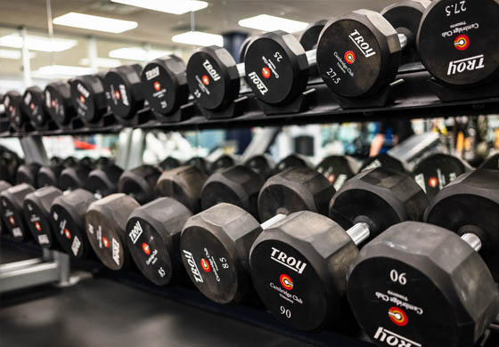 Free weights at the Cambridge Club